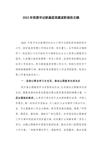 2023年黨委書記抓基層黨建述職報告文稿