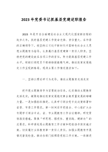 2023年黨委書(shū)記抓基層黨建述職報(bào)告
