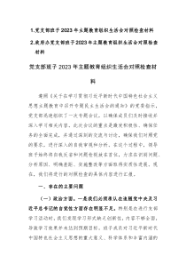 黨支部班子2023年主題教育組織生活會對照檢查材料范文2篇