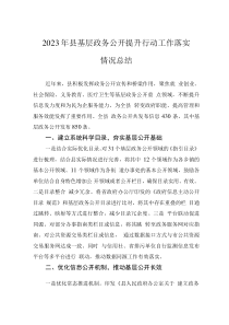 2023年縣基層政務(wù)公開提升行動(dòng)工作落實(shí)情況總結(jié)