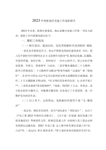 2023年度抓基層黨建工作述職報告