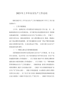 2023年上半年安全生產(chǎn)工作總結(jié)