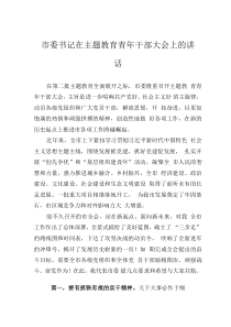 市委書記在主題教育青年干部大會上的講話