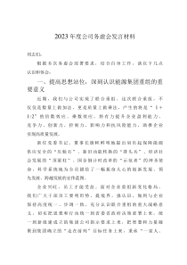 2023年度公司務(wù)虛會發(fā)言材料