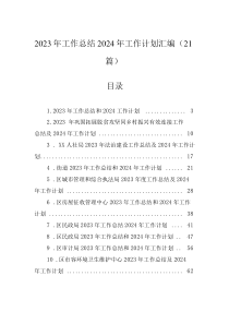 2023年工作總結(jié)2024年工作計(jì)劃匯編（21篇）