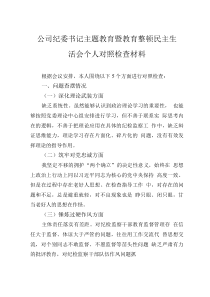 公司紀委書記主題教育暨教育整頓民主生活會個人對照檢查材料