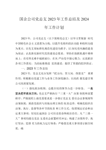 國企公司黨總支2023年工作總結(jié)及2024年工作計(jì)劃