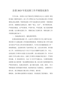 縣委2023年度巡察工作開(kāi)展情況報(bào)告