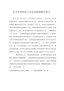 學(xué)習(xí)中央經(jīng)濟(jì)工作會(huì)議精神研討發(fā)言