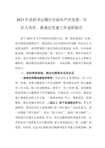 2023年黨組書(shū)記履行全面從嚴(yán)治黨第一責(zé)任人責(zé)任、抓基層黨建工作述職報(bào)告