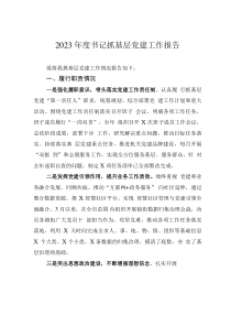 2023年度書記抓基層黨建工作報告