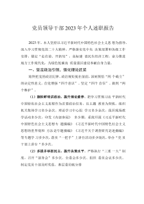 黨員領導干部2023年個人述職報告