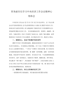 常務(wù)副市長(zhǎng)學(xué)習(xí)中央經(jīng)濟(jì)工作會(huì)議精神心得體會(huì)