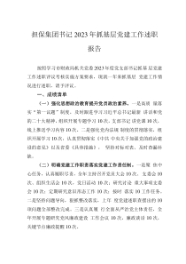 擔(dān)保集團(tuán)書記2023年抓基層黨建工作述職報(bào)告