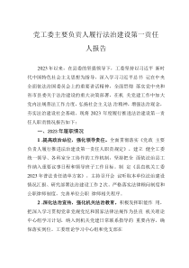 黨工委主要負責人履行法治建設第一責任人報告