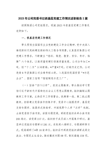 2023年公司黨委書記抓基層黨建工作情況述職報告2篇