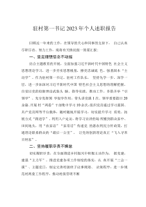 駐村第一書記2023年個(gè)人述職報(bào)告