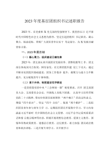 2023年度基層團(tuán)組織書記述職報告