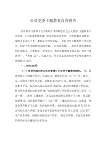 公司黨委主題教育自查報(bào)告