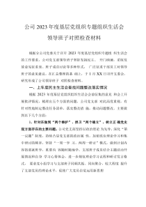 公司2023年度基層黨組織專題組織生活會領(lǐng)導(dǎo)班子對照檢查材料