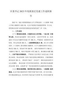 區(qū)委書(shū)記2023年度抓基層黨建工作述職報(bào)告