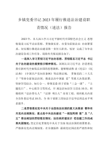 鄉(xiāng)鎮(zhèn)黨委書記2023年履行推進法治建設職責情況（述法）報告