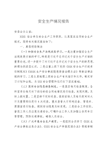 落實(shí)安全生產(chǎn)情況報(bào)告 