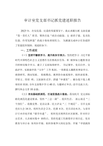 審計(jì)室黨支部書(shū)記抓黨建述職報(bào)告