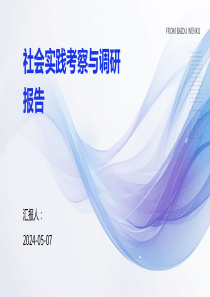 社會實踐考察與調研報告