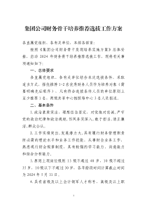 集團(tuán)公司財務(wù)骨干培養(yǎng)推薦選拔工作方案