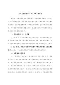 ××縣招商局2024年上半年工作總結
