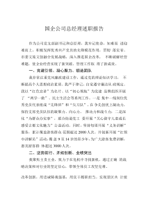 國企公司總經(jīng)理述職報告