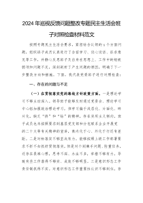 2024年巡視反饋問題整改專題民主生活會班子對照檢查材料范文
