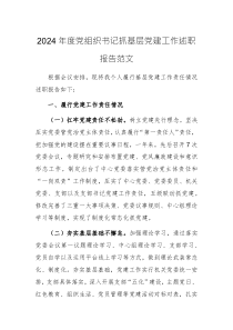2024年度黨組織書記抓基層黨建工作述職報告范文