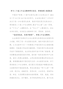 學(xué)習(xí)二十屆三中全會精神研討發(fā)言：學(xué)深悟透 抓緊抓實