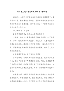 2024年人大工作總結(jié)及2025年工作計(jì)劃