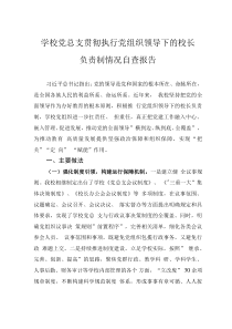 學校黨總支貫徹執(zhí)行黨組織領導下的校長負責制情況自查報告