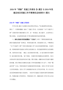 2024年“兩新”黨建工作報告【4篇】與2024年黨建總結及黨建工作開展情況總結報告5篇文