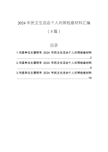 2024年民主生活會個人對照檢查材料匯編（3篇）