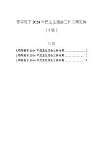 領(lǐng)導(dǎo)班子2024年民主生活會(huì)工作方案匯編（3篇）