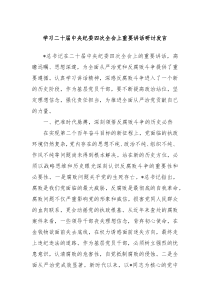 學(xué)習(xí)二十屆中央紀(jì)委四次全會(huì)上重要講話研討發(fā)言