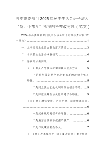 縣委常委部門2025年民主生活會班子深入“新四個帶頭”檢視剖析整改材料（范文）