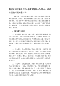 基層黨組織書記2024-2025年度專題民主生活會、組織生活會對照檢查材料