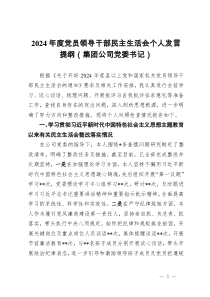 2024年度黨員領(lǐng)導(dǎo)干部民主生活會個人發(fā)言提綱（集團公司黨委書記）