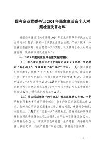 國(guó)有企業(yè)黨委書(shū)記2024年民主生活會(huì)個(gè)人對(duì)照檢查發(fā)言材料