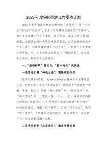 2025年度單位黨建工作要點計劃范文