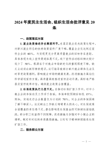 2024年度民主生活會(huì)、組織生活會(huì)批評(píng)意見(jiàn)20條