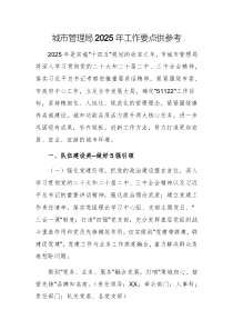 城市管理局2025年工作要點(diǎn)供參考