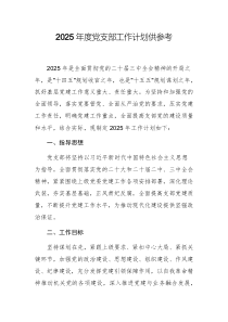 2025年度黨支部工作計(jì)劃供參考