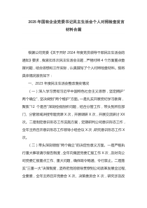 2025年國(guó)有企業(yè)黨委書(shū)記民主生活會(huì)個(gè)人對(duì)照檢查發(fā)言材料合篇